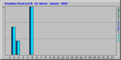 Stunden-Statistik im Monat Januar 2026